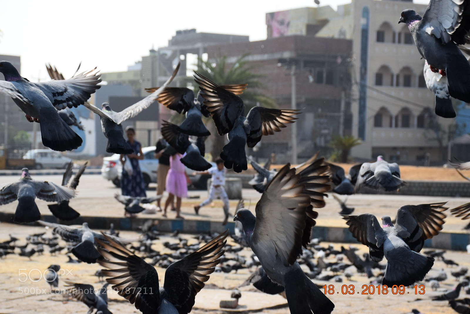 Nikon D5300 sample photo. Untitled photography