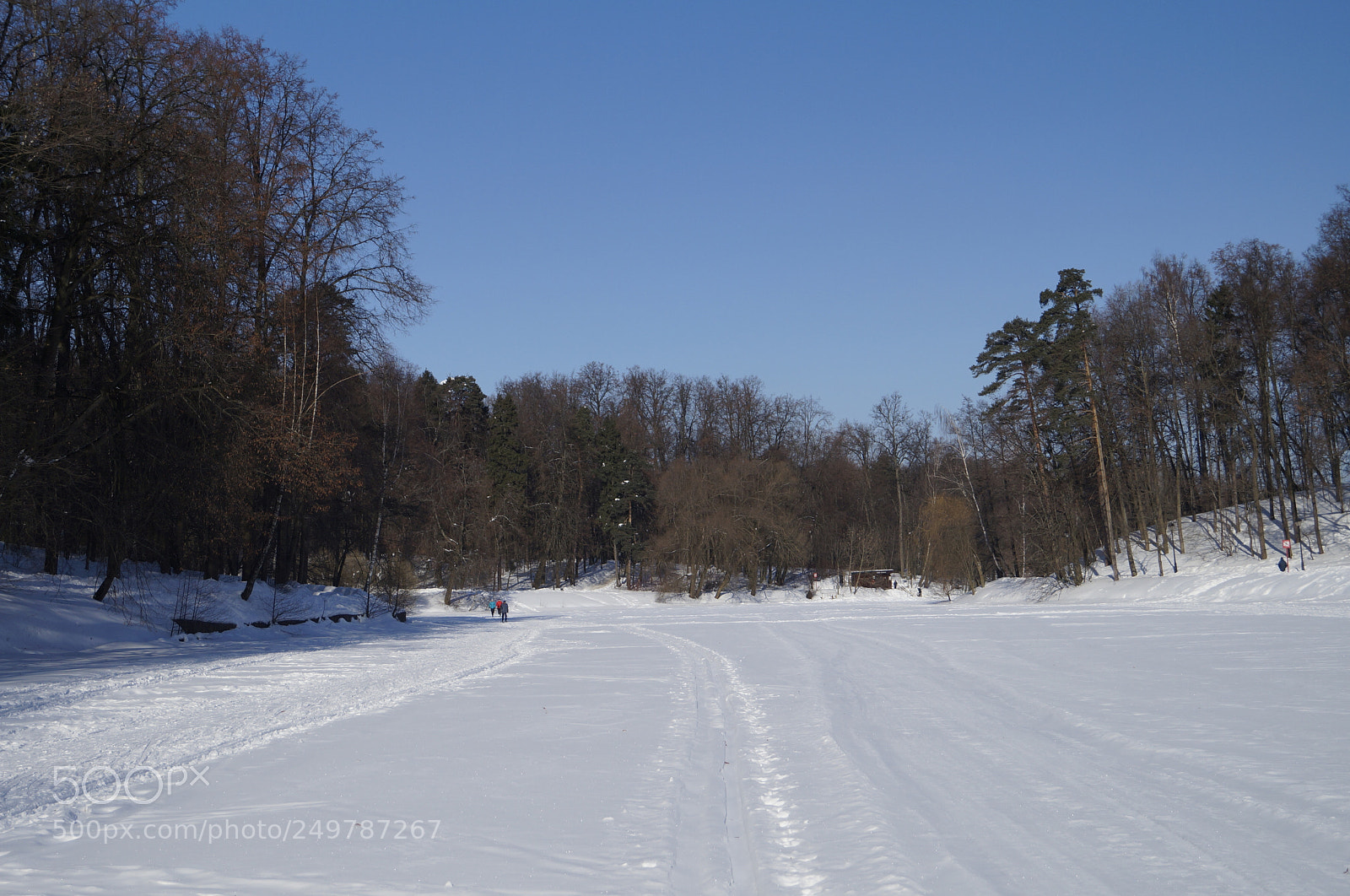 Sony SLT-A57 sample photo. Untitled photography