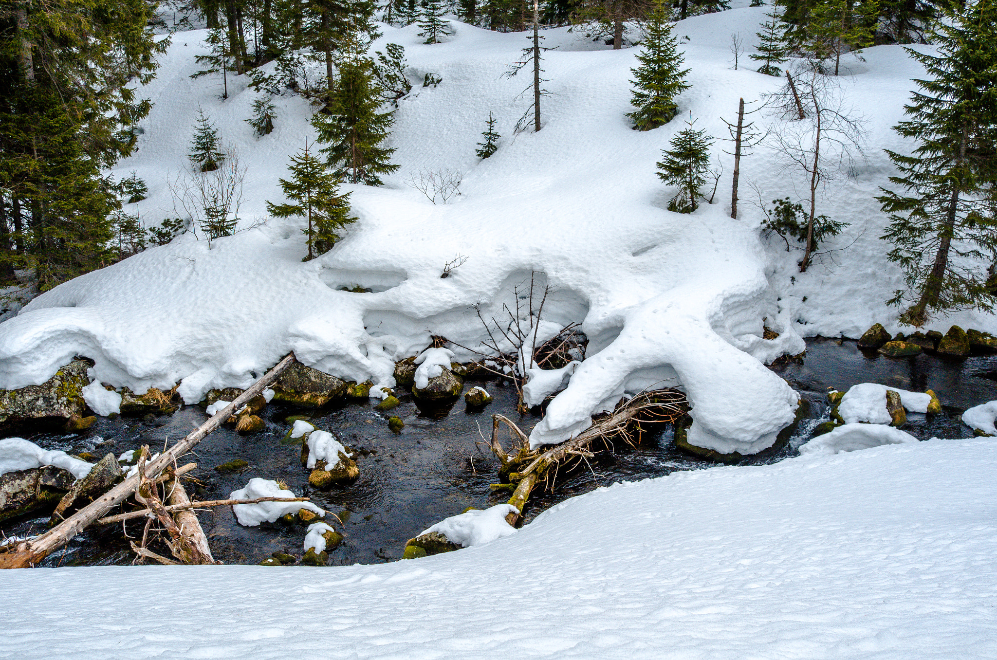 Leica X (Typ 113) sample photo. Snow river photography