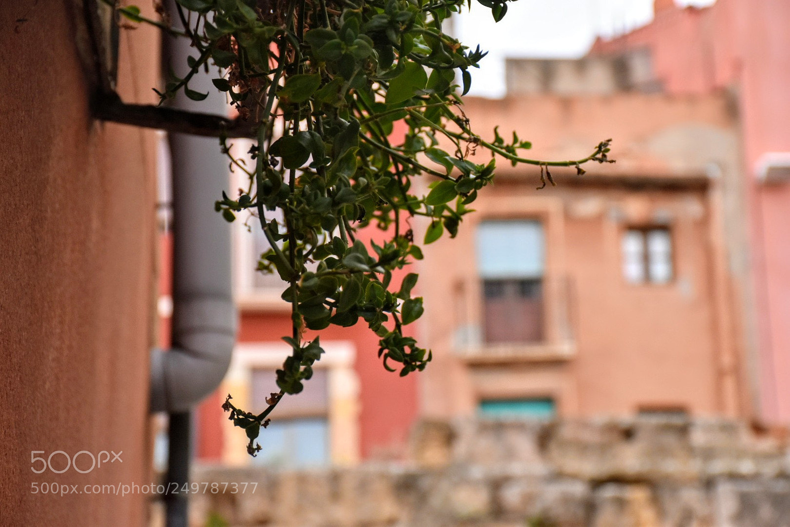 Nikon D5600 sample photo. Tarragoba city photography