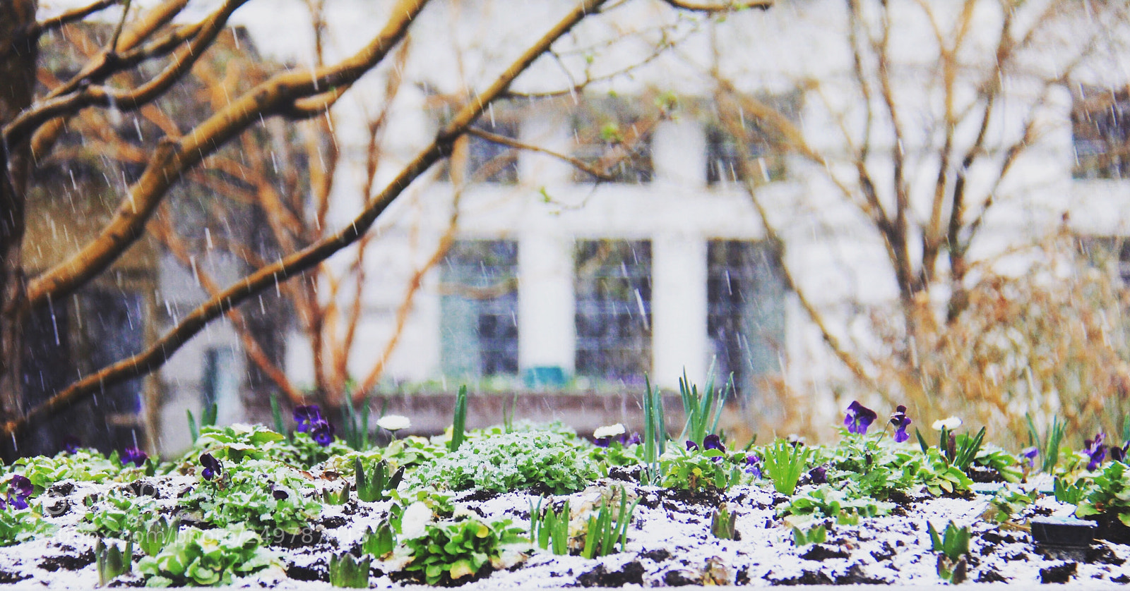 Canon EOS 60D sample photo. Street sight photography