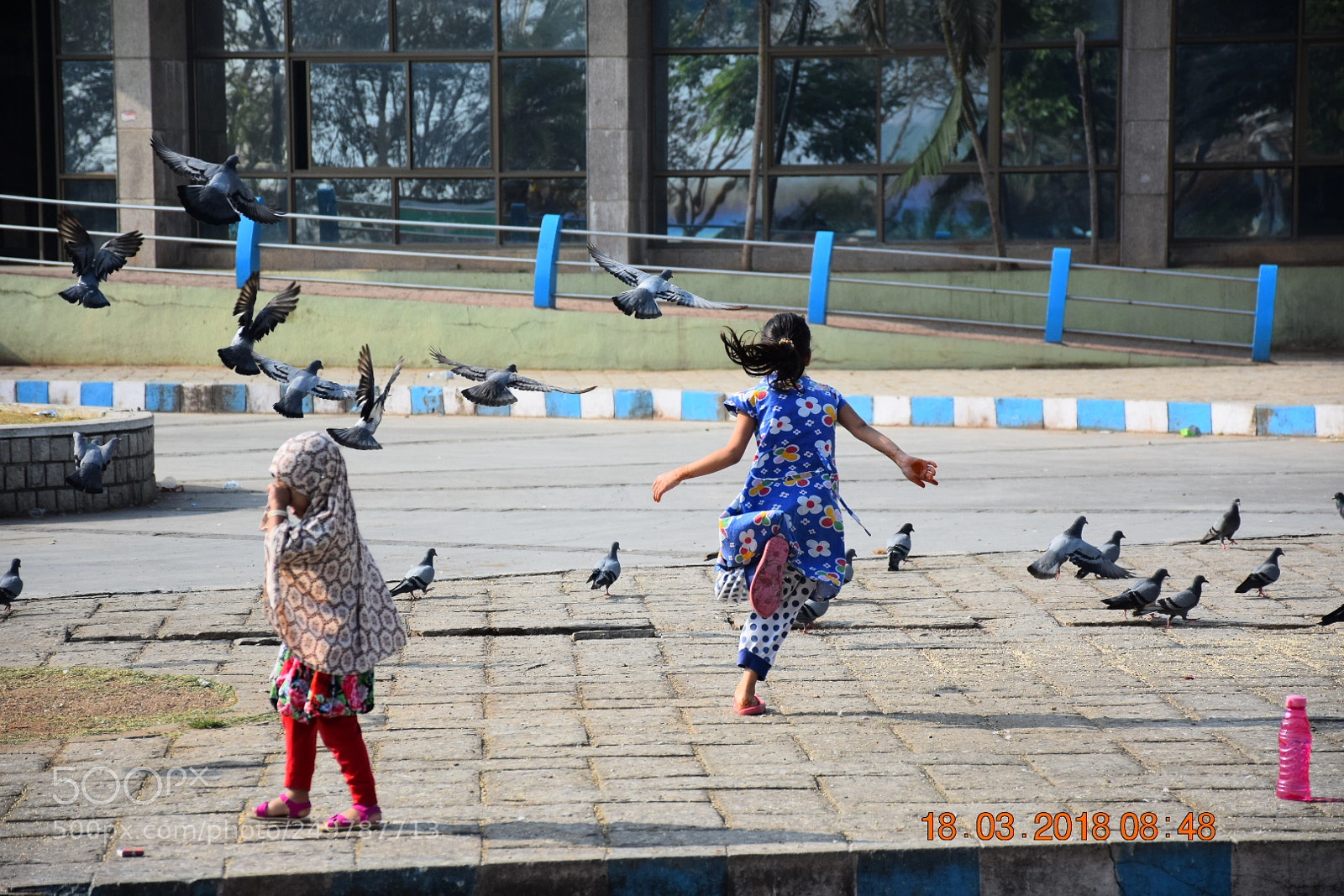 Nikon D5300 sample photo. Untitled photography