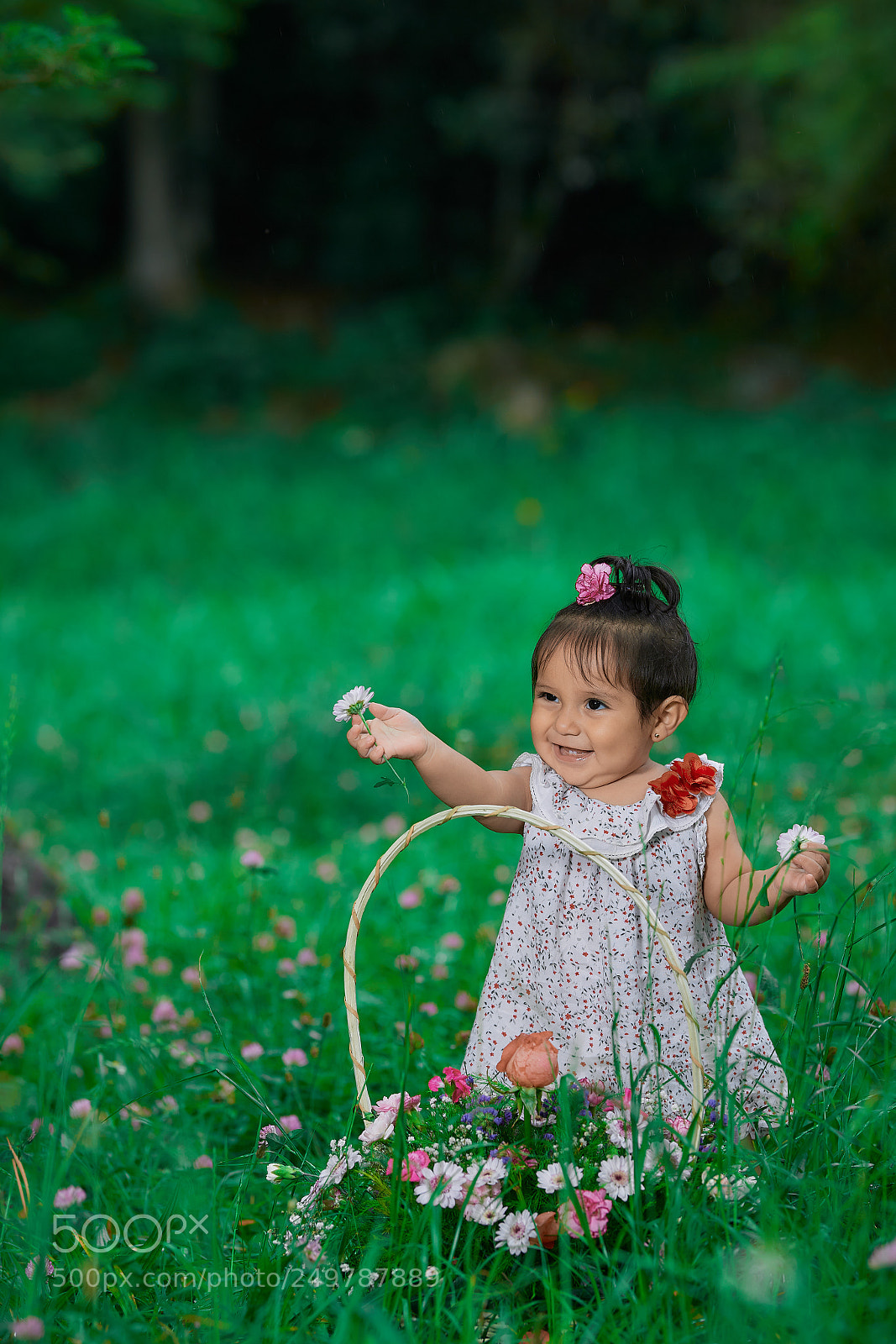 Nikon D5 sample photo. Luciana photography
