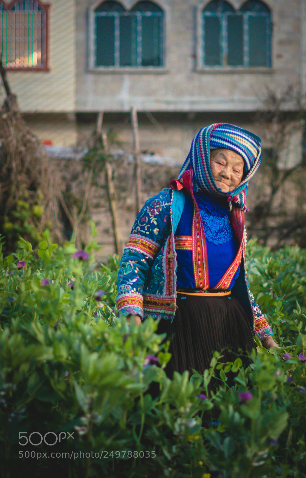 Sony a7R II sample photo. Joy photography