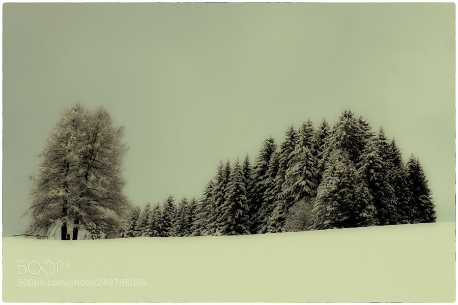 Sony a6000 sample photo. Vague de froid photography