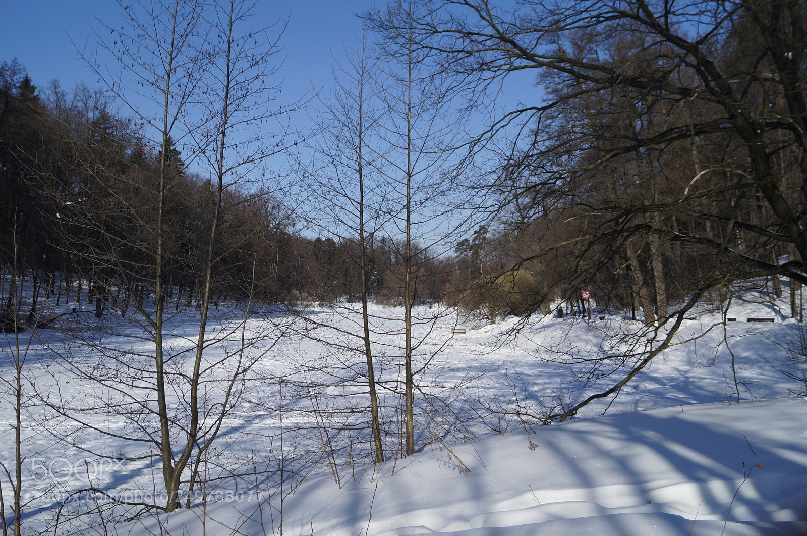 Sony SLT-A57 sample photo. Untitled photography