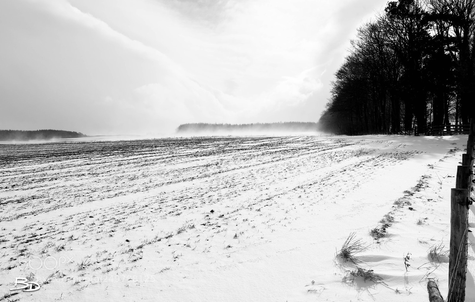 Nikon D5600 sample photo. Winter... again! photography