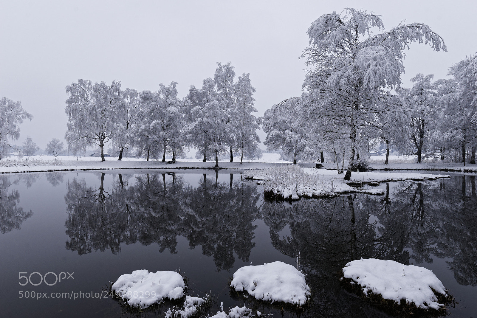 Sony a7 II sample photo. Moor märwil photography