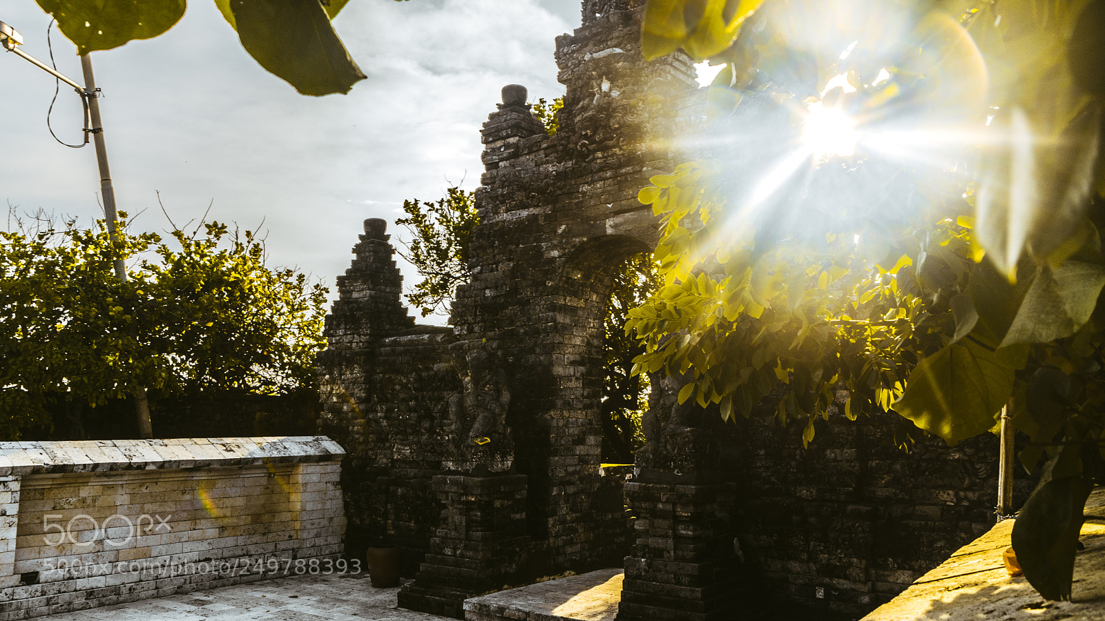 Nikon D5300 sample photo. Bali monkey temple photography