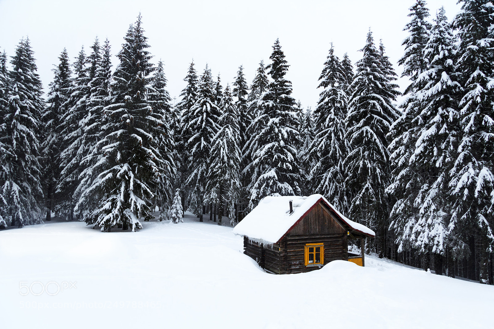 Canon EOS 60D sample photo. Winter is back! photography