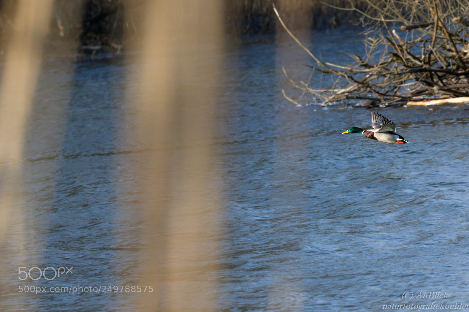 Canon EOS 7D Mark II sample photo. In letzter sekunde photography