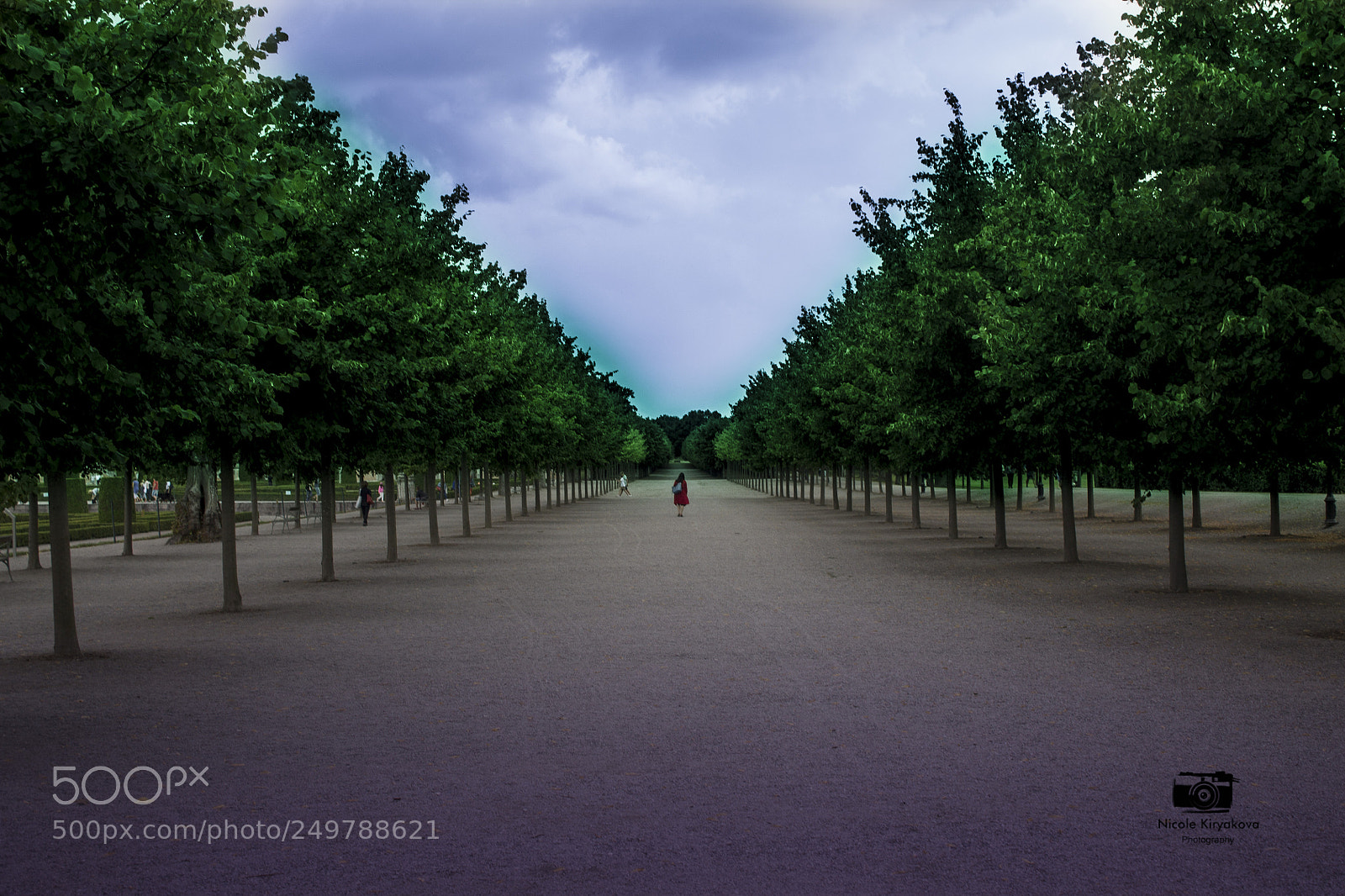 Canon EOS 1100D (EOS Rebel T3 / EOS Kiss X50) sample photo. Тhe endless road photography