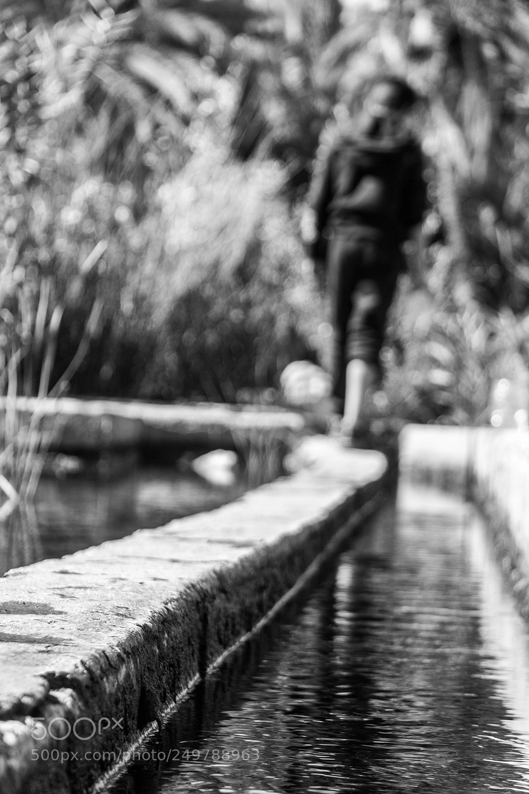 Canon EOS 60D sample photo. Img photography