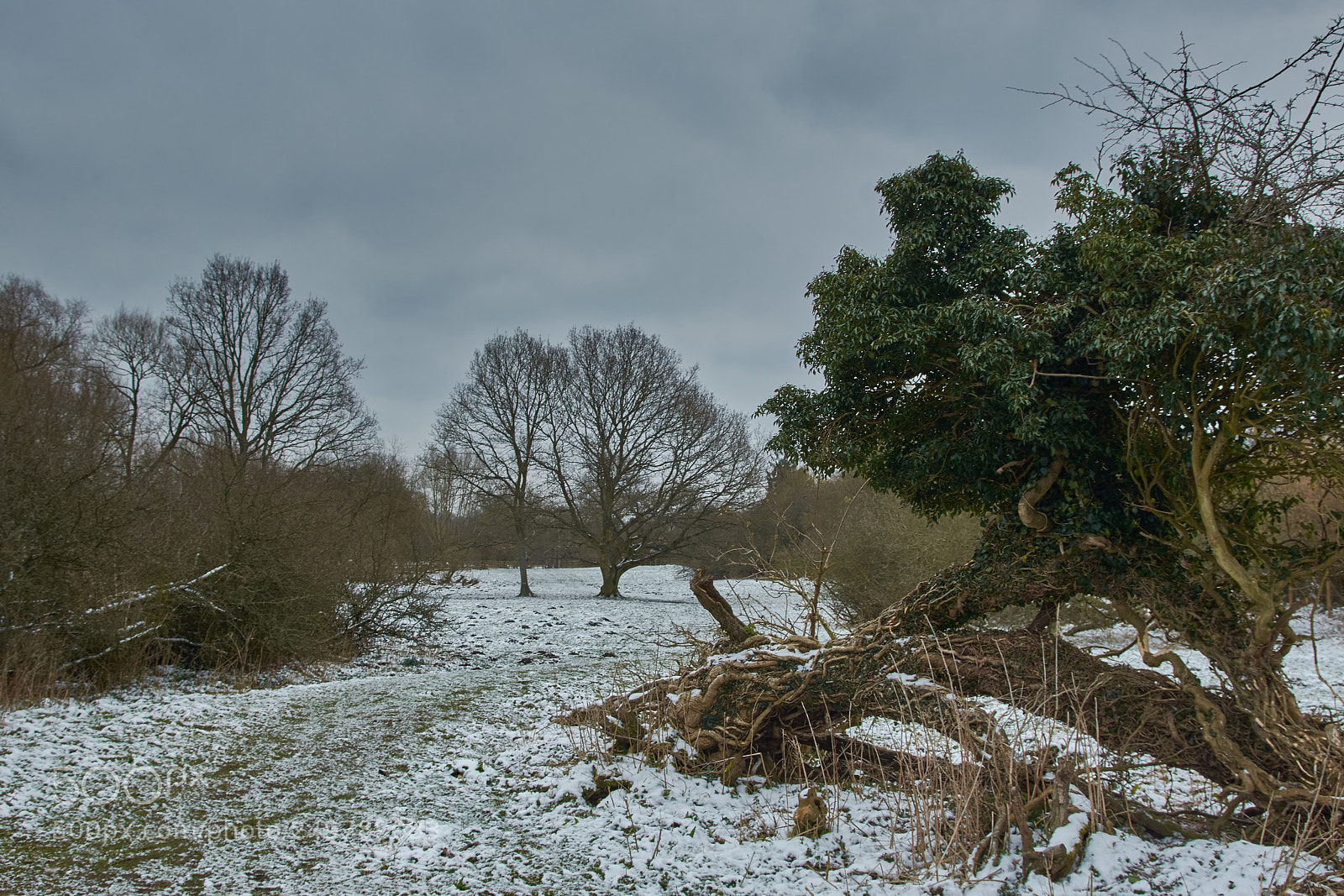 Nikon D7200 sample photo. Singlers marsh photography