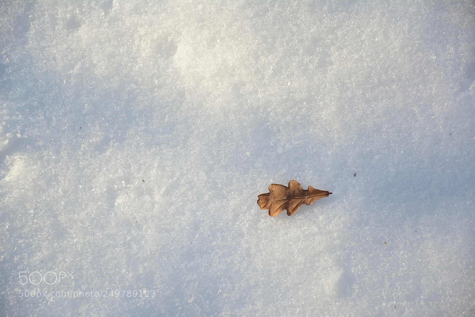 Nikon D5200 sample photo. # photography
