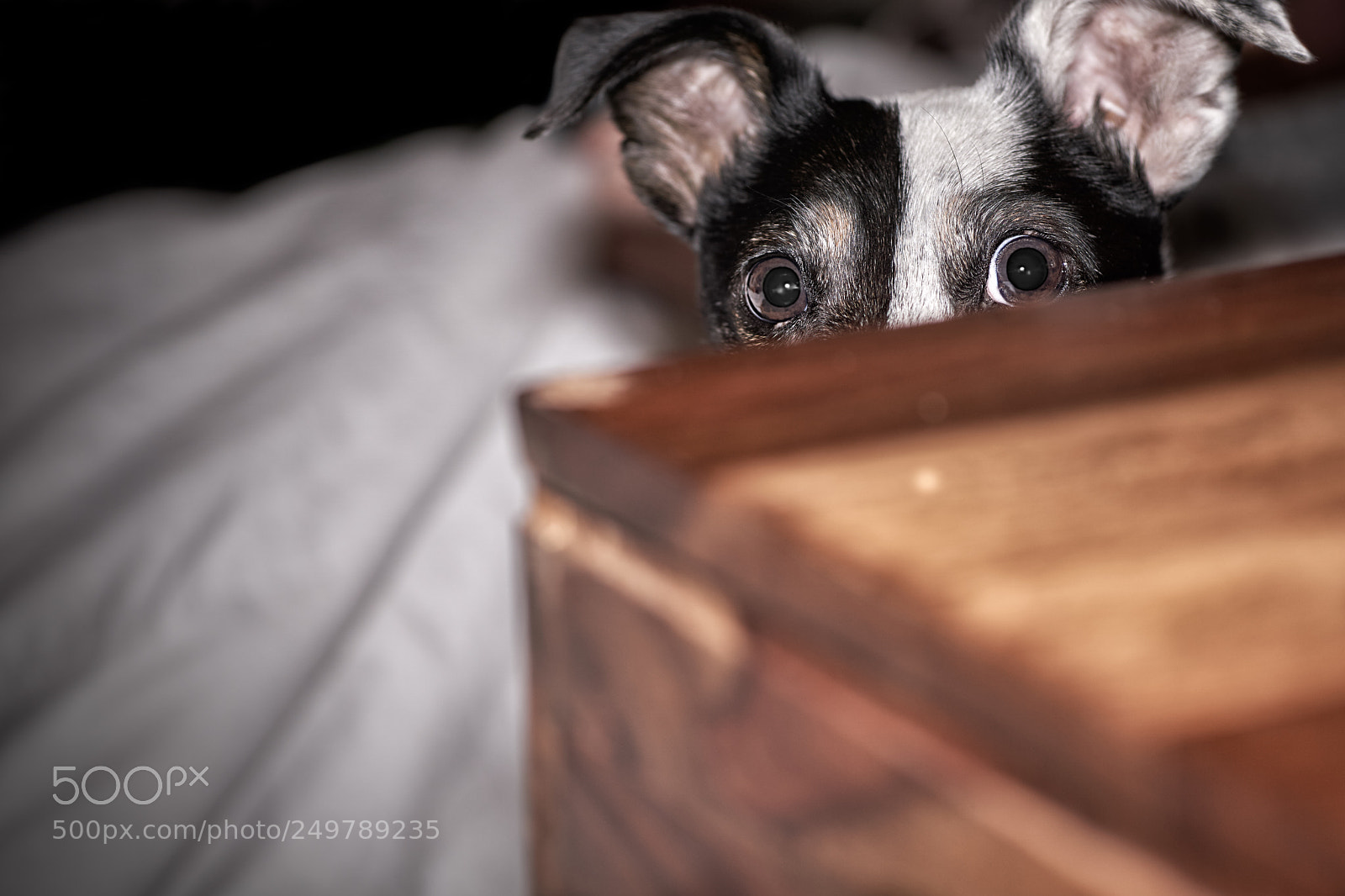 Sony a6000 sample photo. Peekaboo! photography