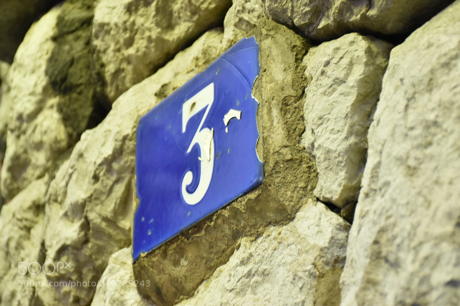 Nikon D5600 sample photo. No.3 photography