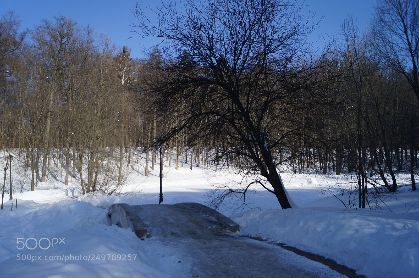 Sony SLT-A57 sample photo. Untitled photography