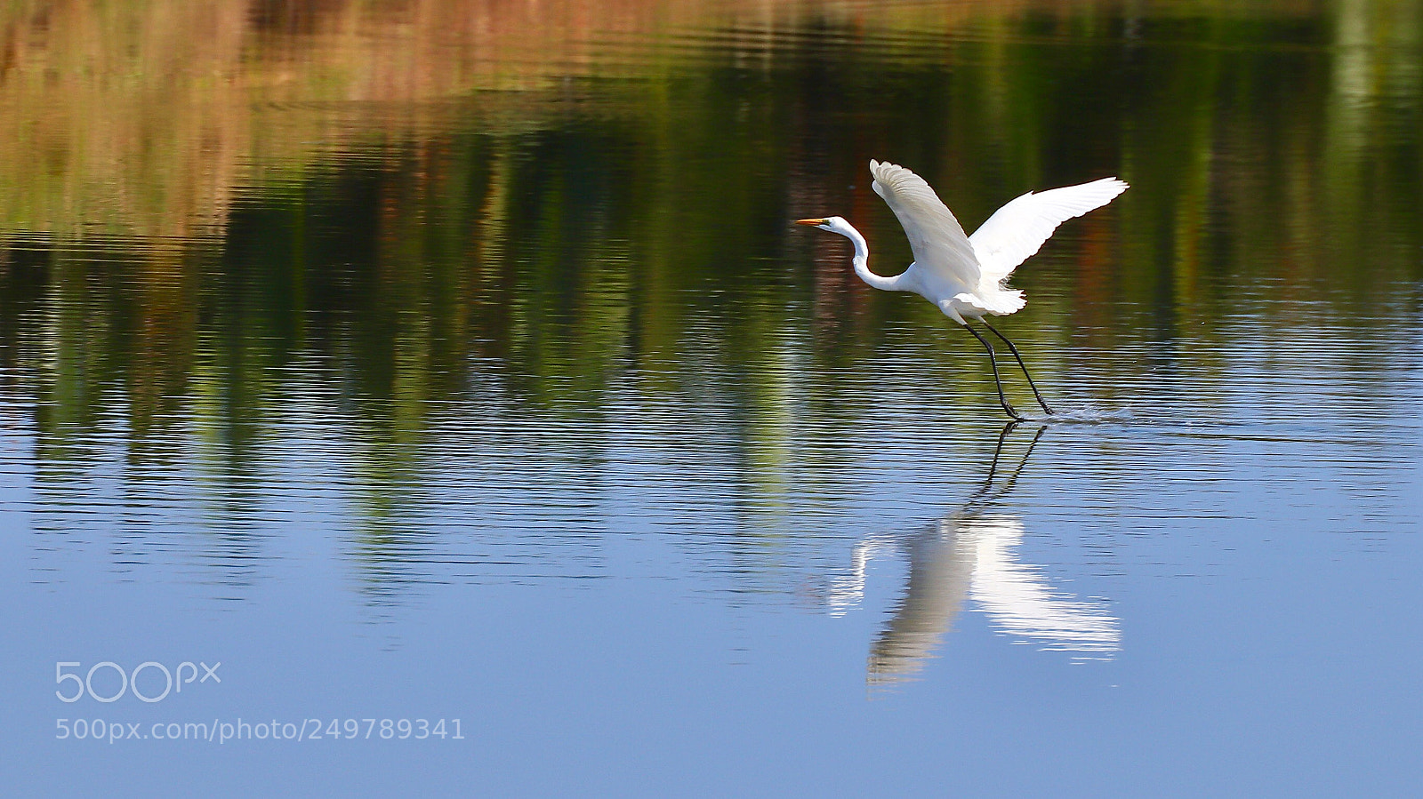 Canon EOS 77D (EOS 9000D / EOS 770D) sample photo. Take off photography