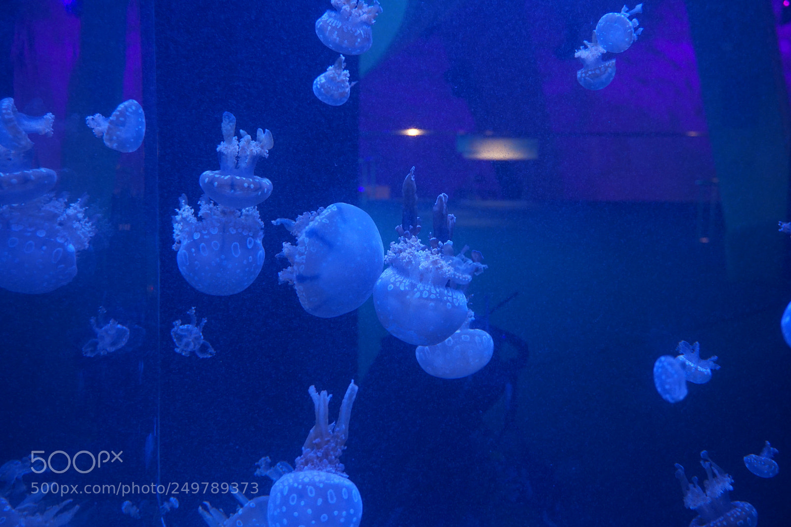 Sony E 16-50mm F3.5-5.6 PZ OSS sample photo. Dsc photography