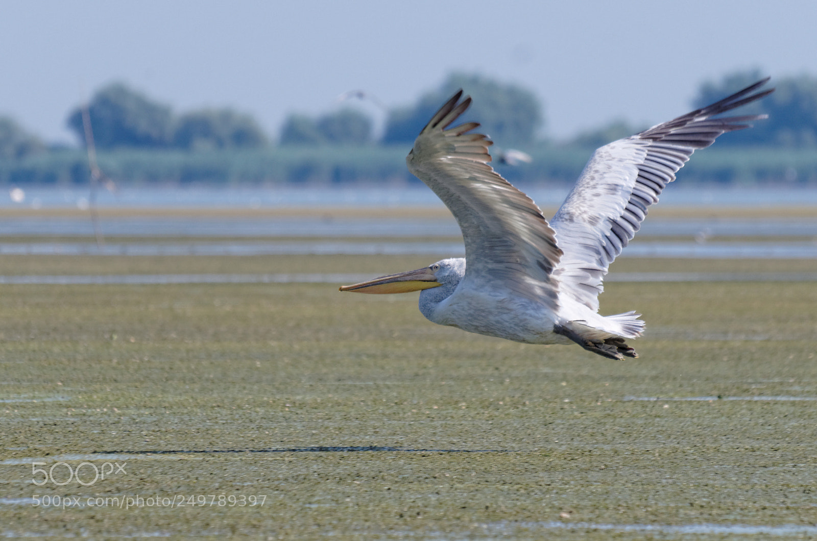 Pentax K-50 sample photo. Dxo photography