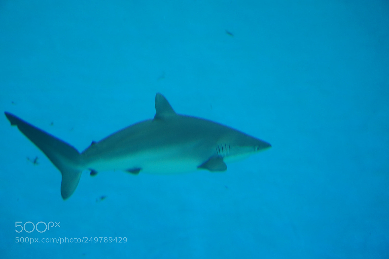 Sony a6000 sample photo. Dsc photography