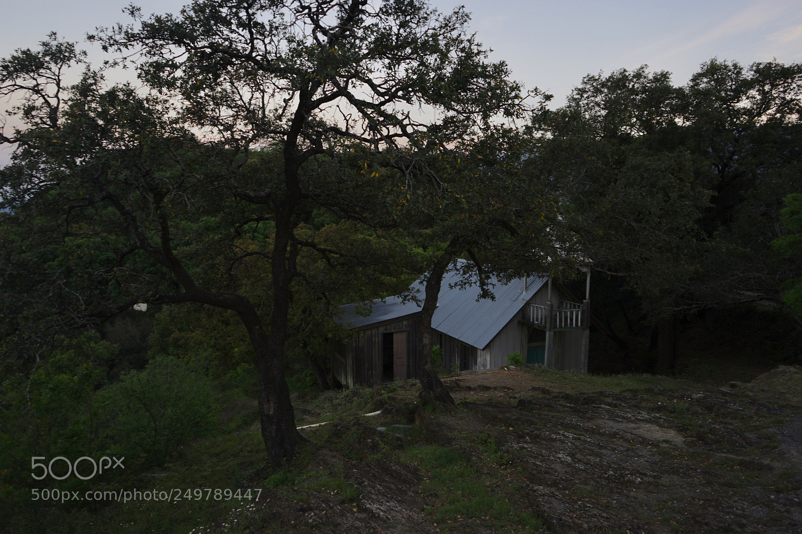 Sony a7 II sample photo. Untitled photography