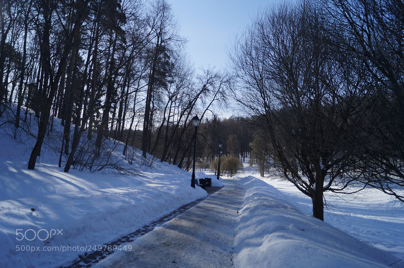 Sony SLT-A57 sample photo. Untitled photography