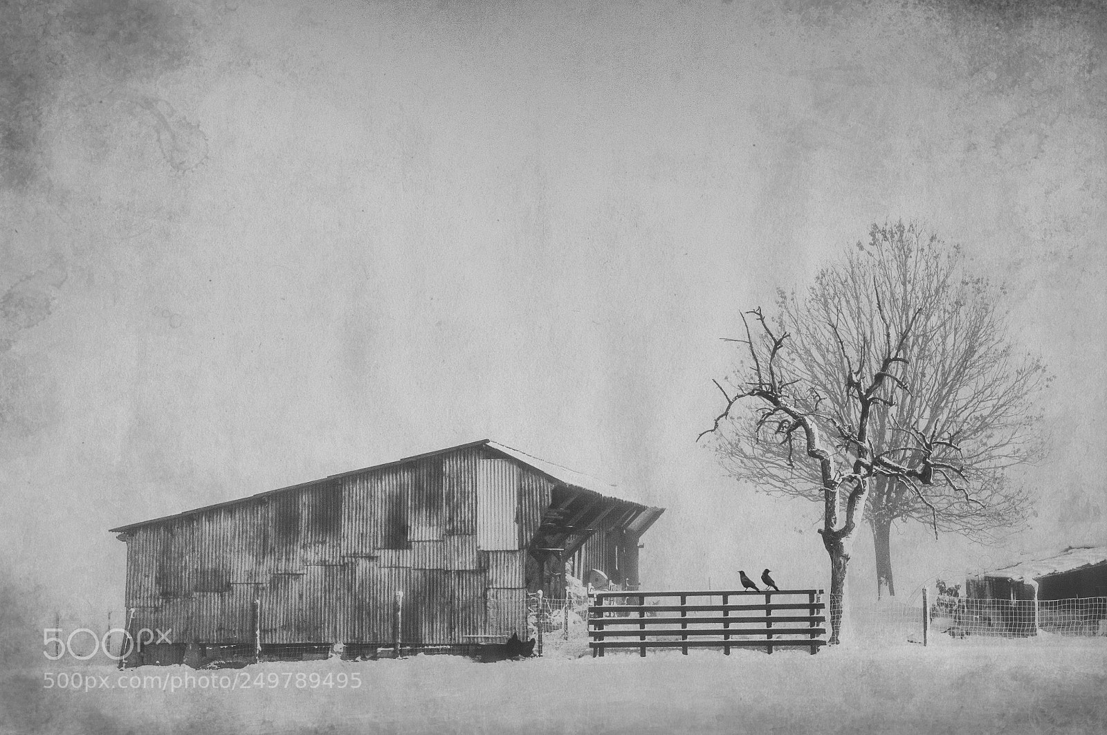 Nikon D300S sample photo. Cold days photography