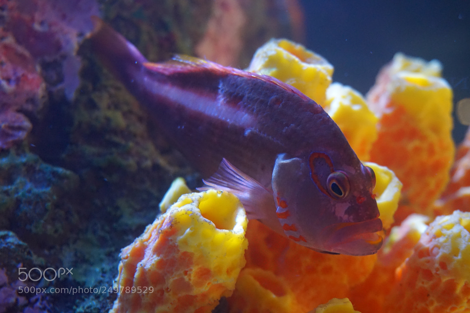 Sony a6000 sample photo. Dsc photography