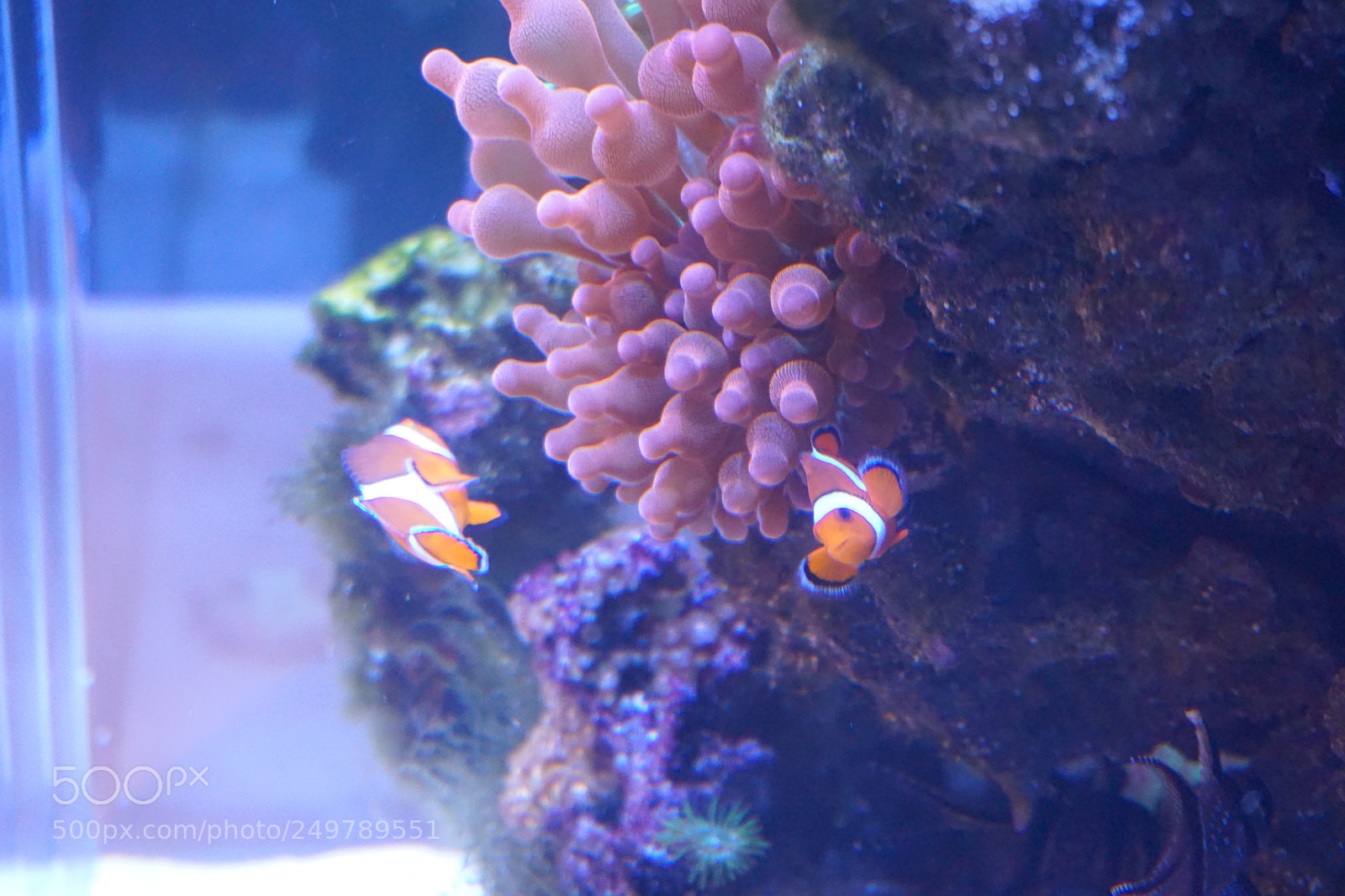 Sony a6000 sample photo. Dsc photography