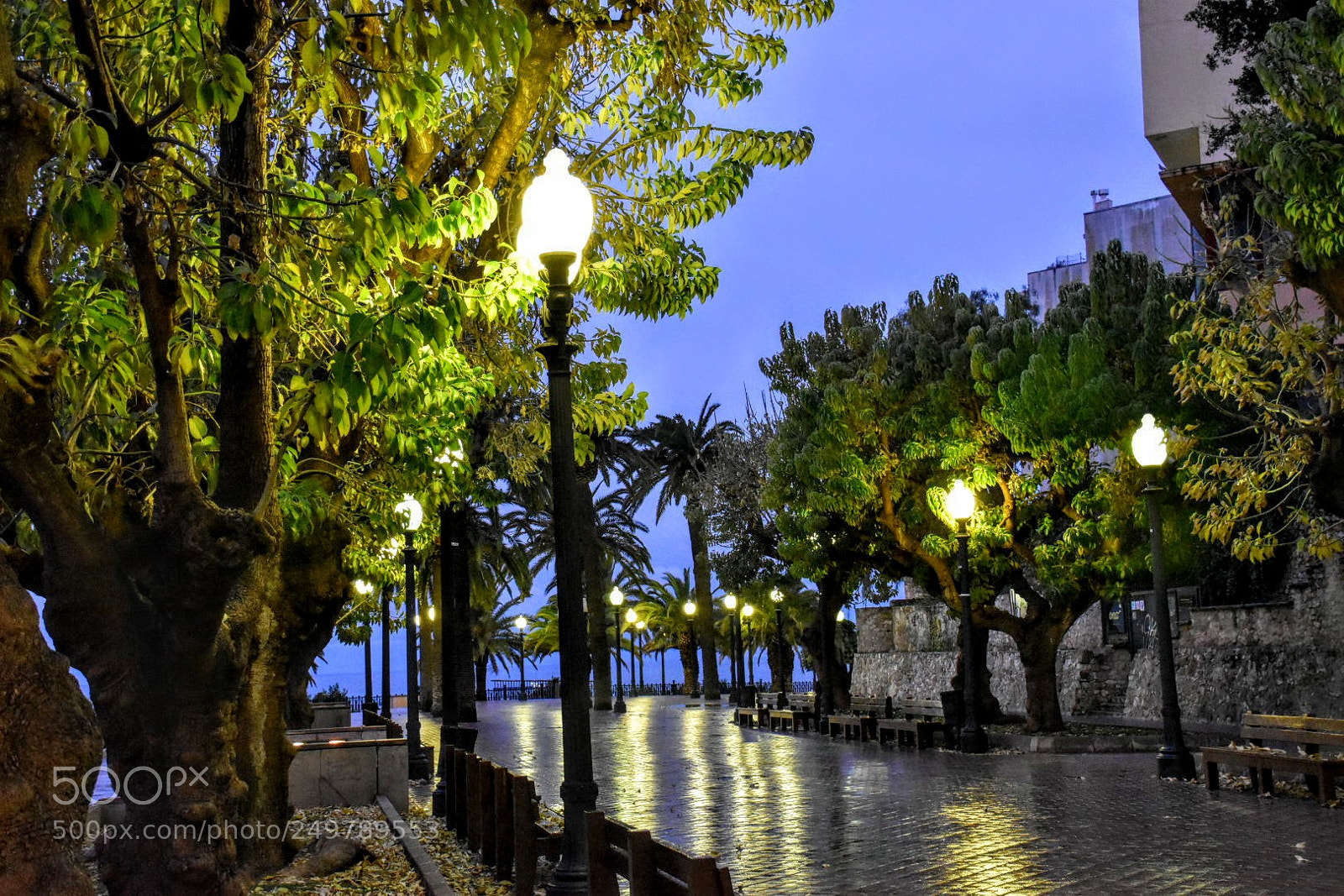 Nikon D5600 sample photo. Tarragona photography