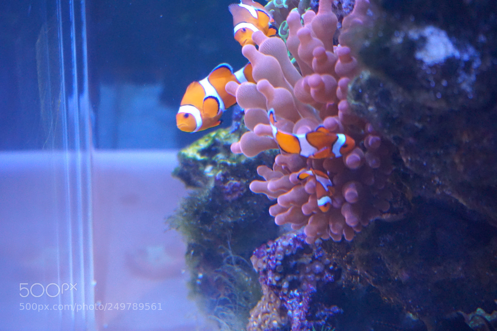 Sony a6000 sample photo. Dsc photography