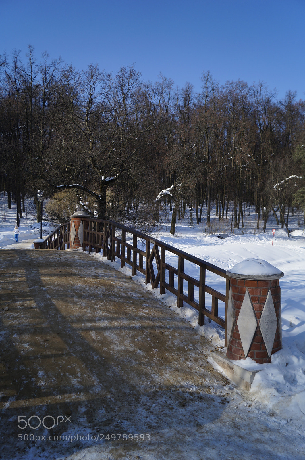 Sony SLT-A57 sample photo. Untitled photography