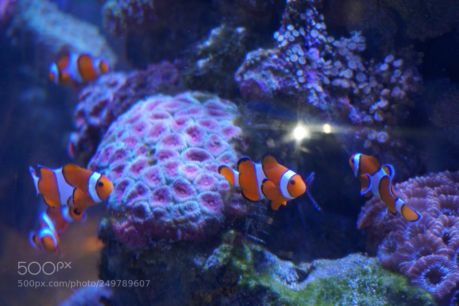 Sony a6000 sample photo. Dsc photography