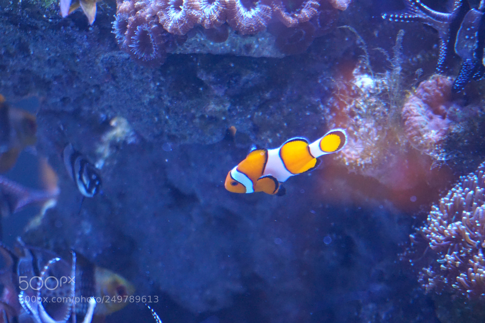 Sony a6000 sample photo. Dsc photography