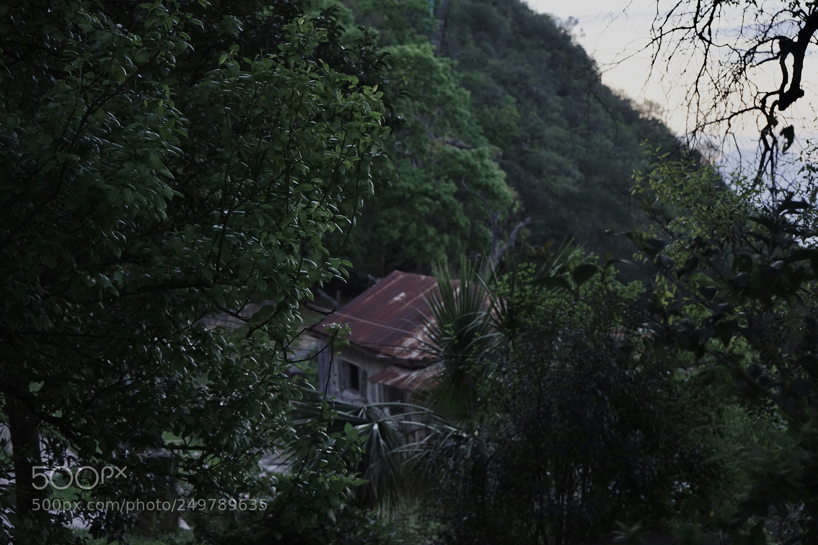 Sony a7 II sample photo. Untitled photography