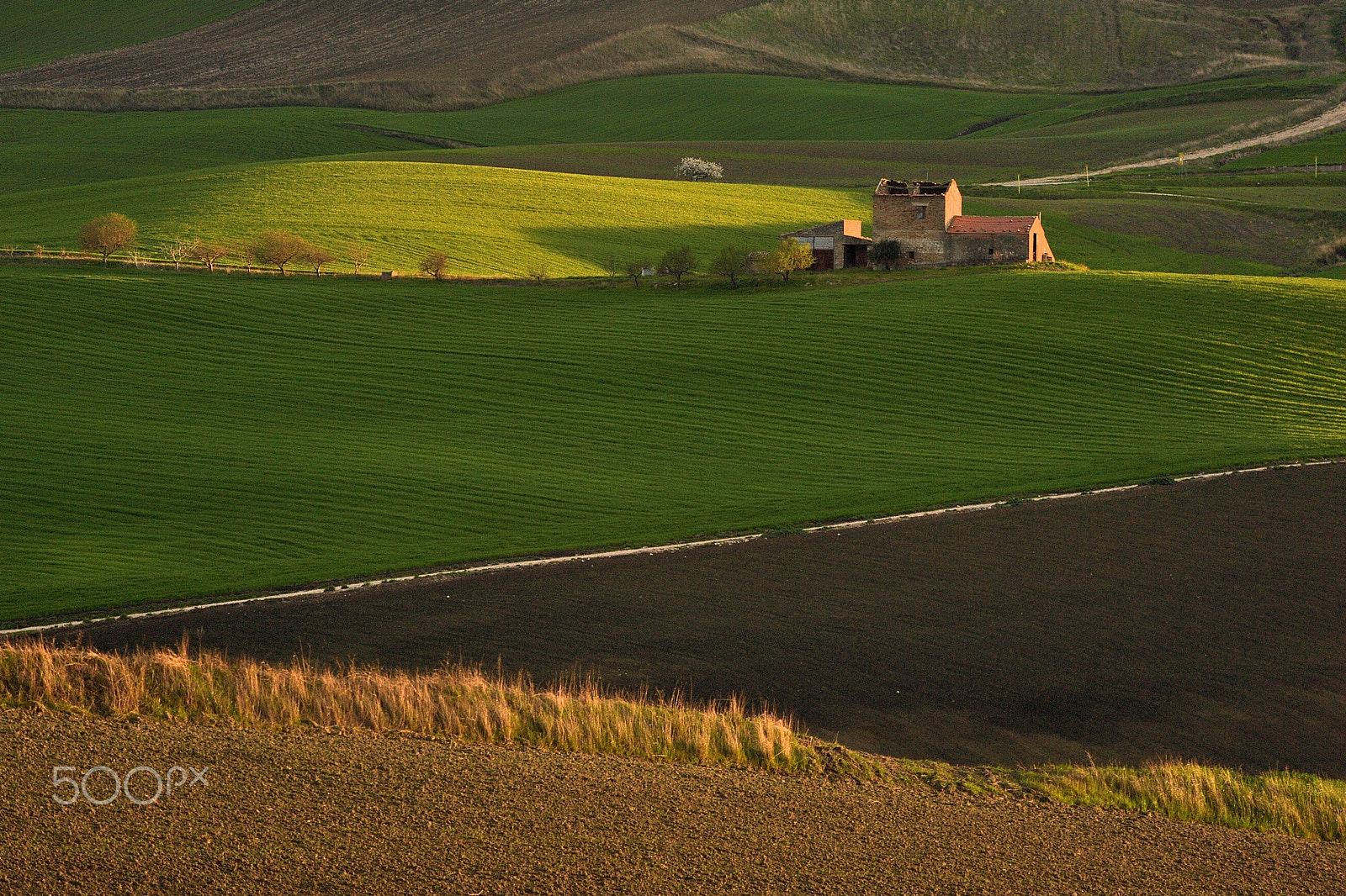 Nikon AF-S Nikkor 70-200mm F4G ED VR sample photo. Last light photography