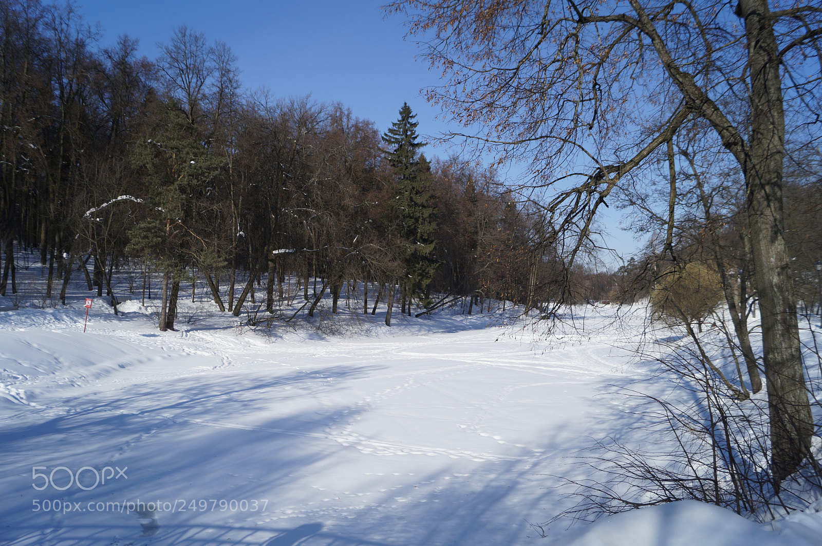 Sony SLT-A57 sample photo. Untitled photography
