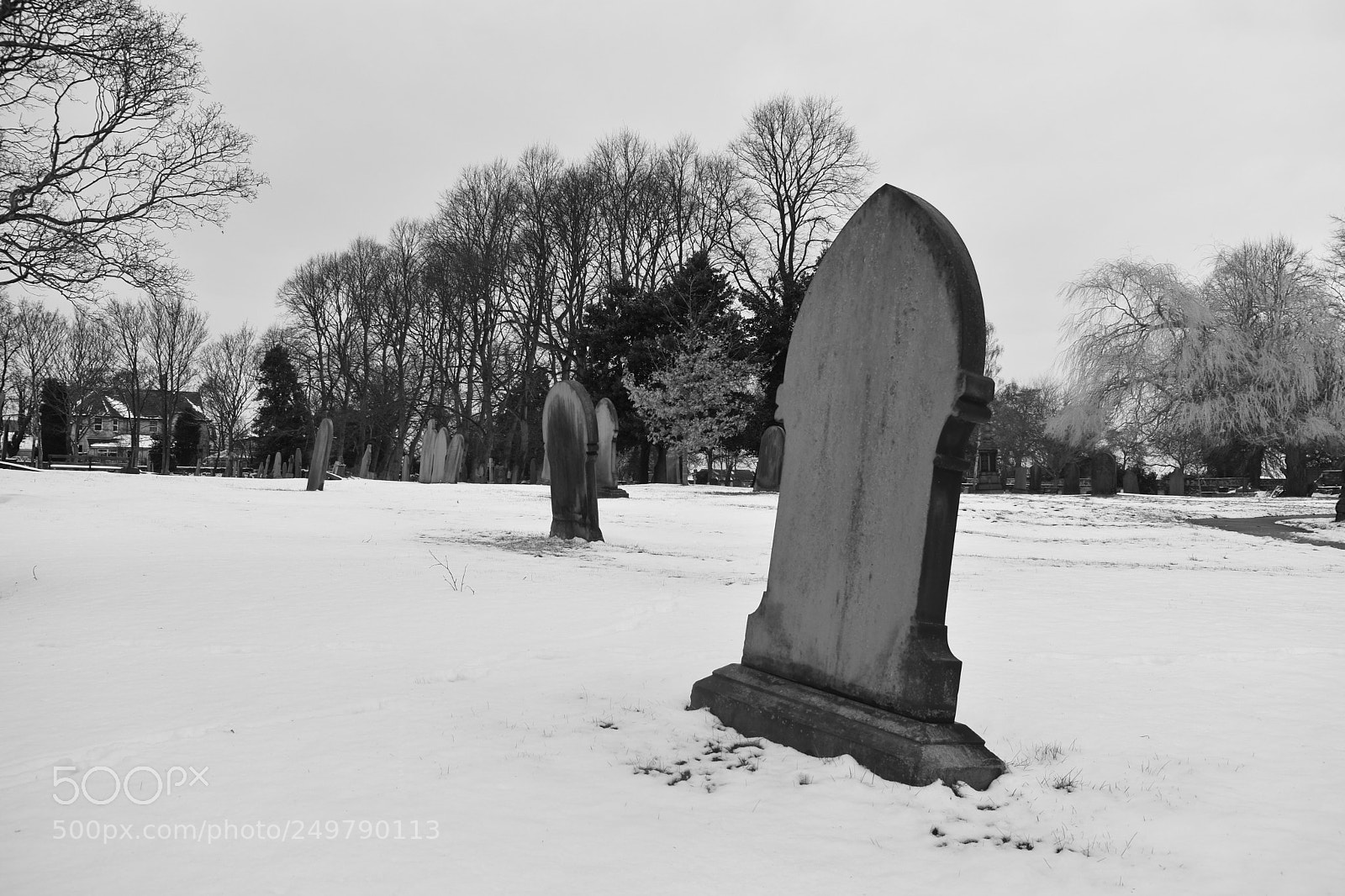 Nikon D3400 sample photo. Winters last stand photography