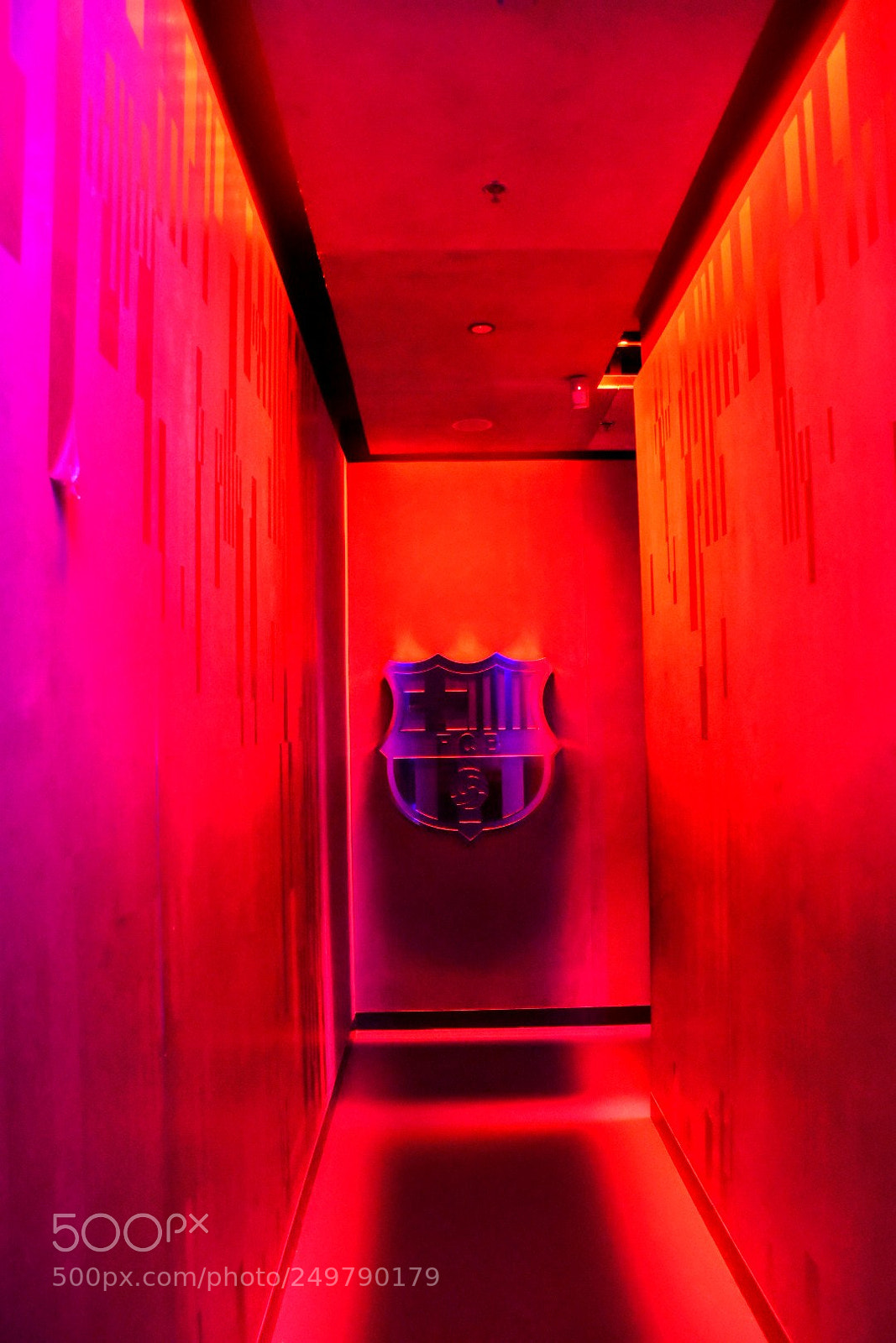 Nikon D5600 sample photo. Fc barcelona photography