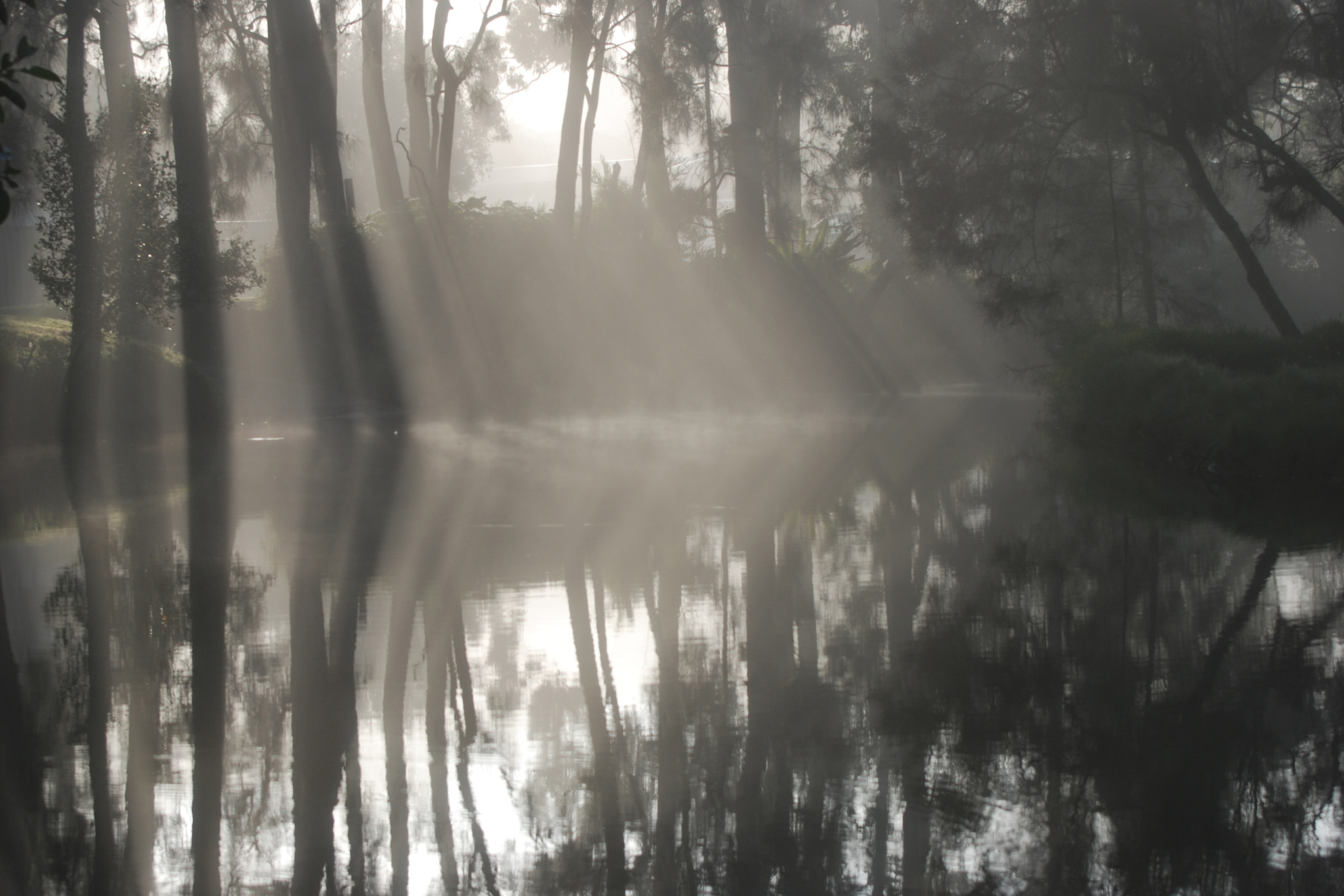 Nikon D80 sample photo. Quiet time photography
