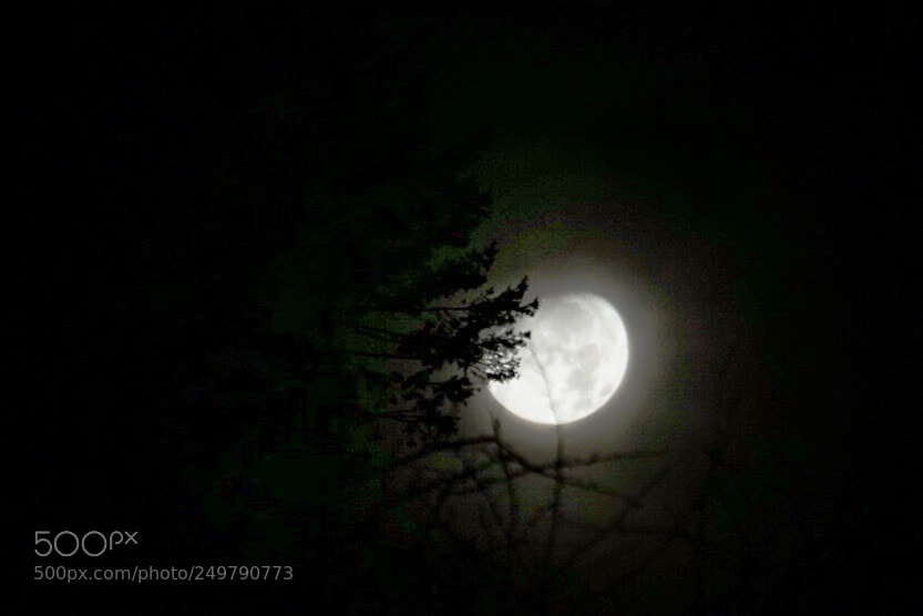 Sony a6000 sample photo. Lucky night shot photography