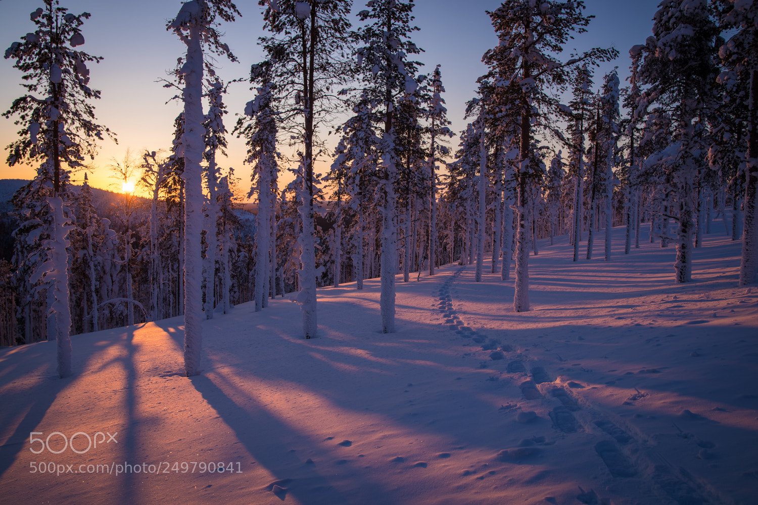 Pentax K-1 sample photo. Snowshoe tracks photography