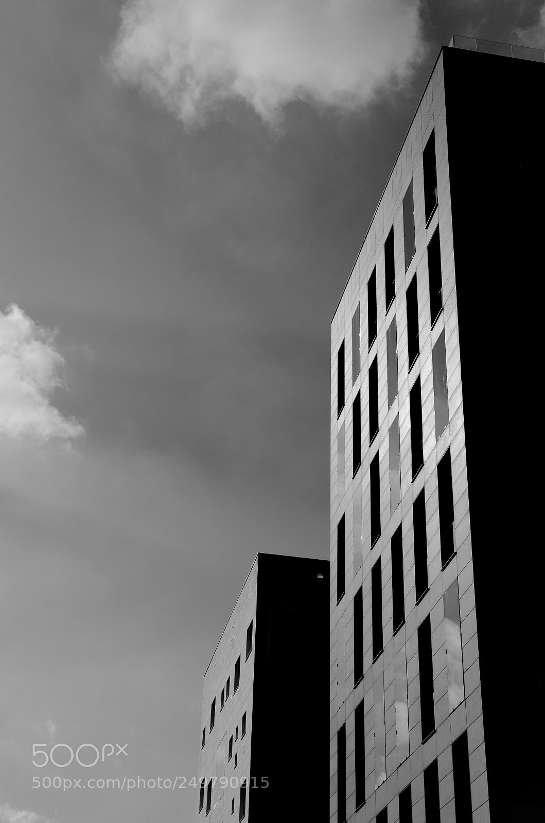Nikon D5100 sample photo. Facing the sun photography