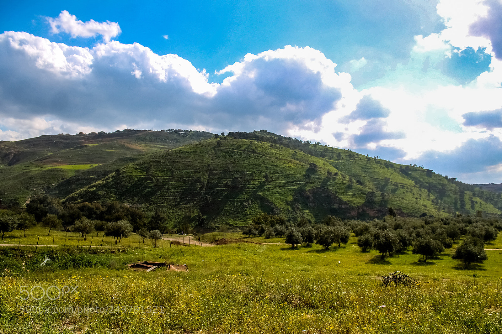 Canon EOS 1100D (EOS Rebel T3 / EOS Kiss X50) sample photo. King talal dam photography