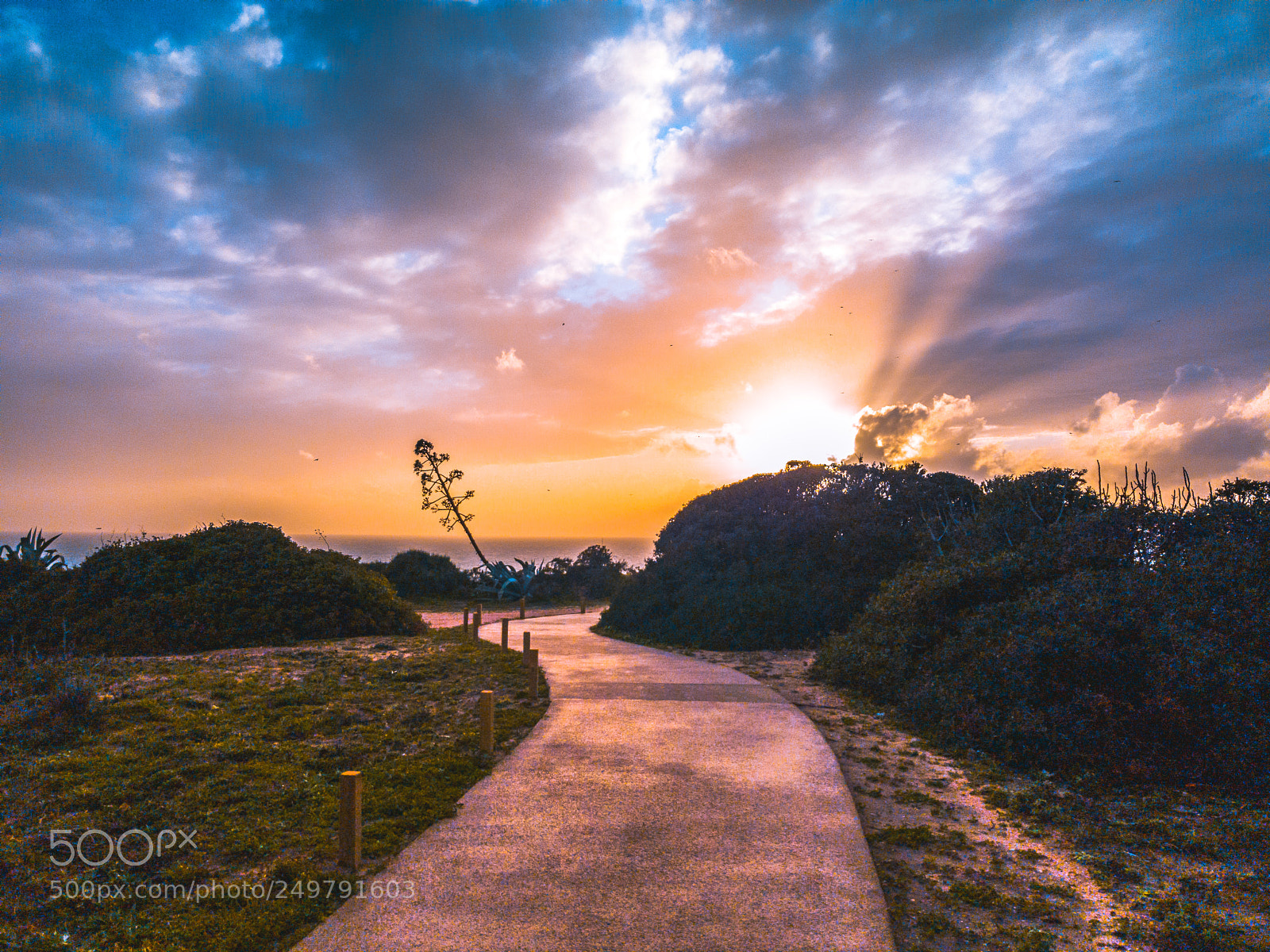 Samsung Galaxy S8 sample photo. Pathway to heaven photography