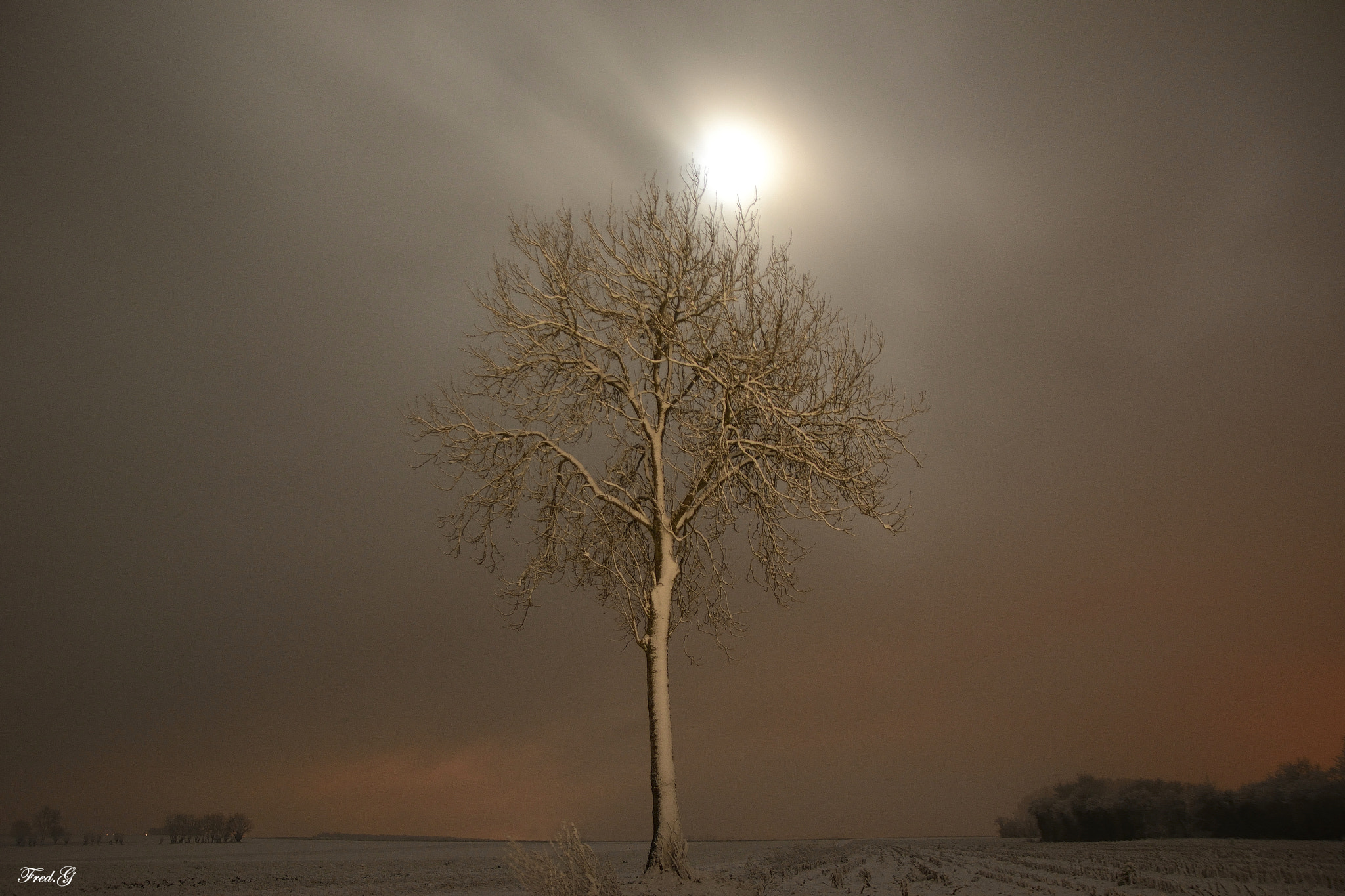 Nikon D7100 + Sigma 17-70mm F2.8-4 DC Macro OS HSM sample photo. Clair de lune photography