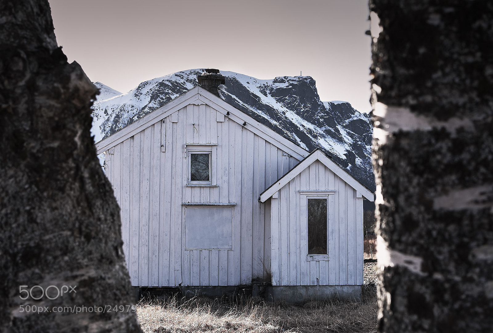 Nikon D7200 sample photo. Build a home by photography