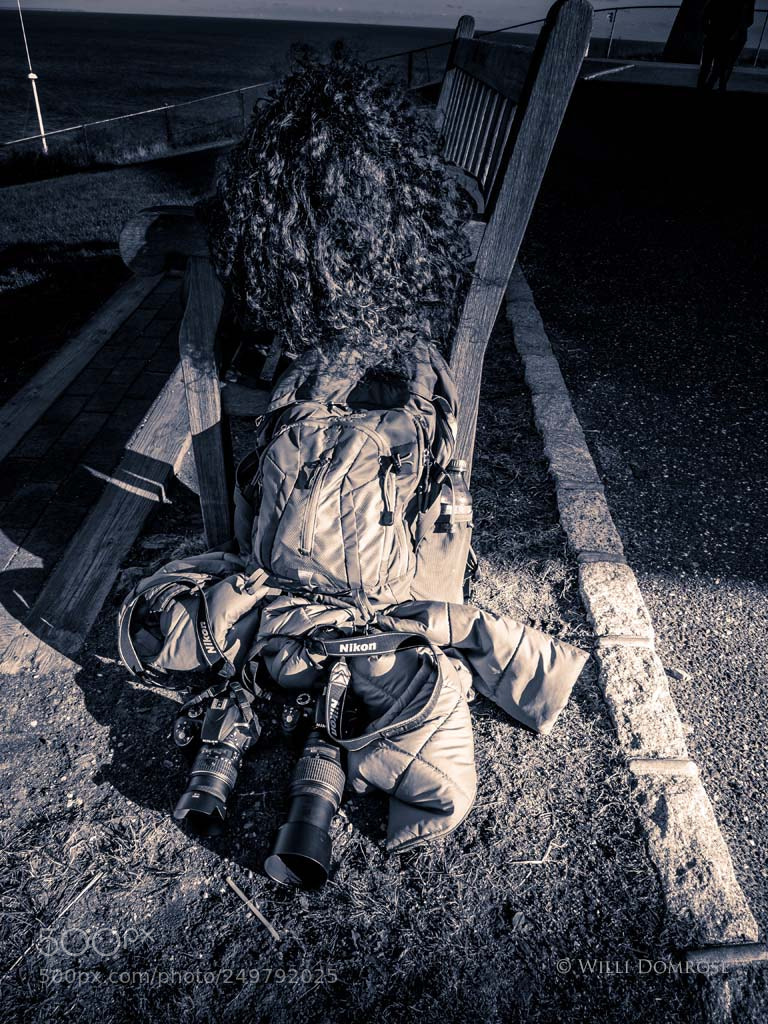 Olympus OM-D E-M1 sample photo. A small rest photography